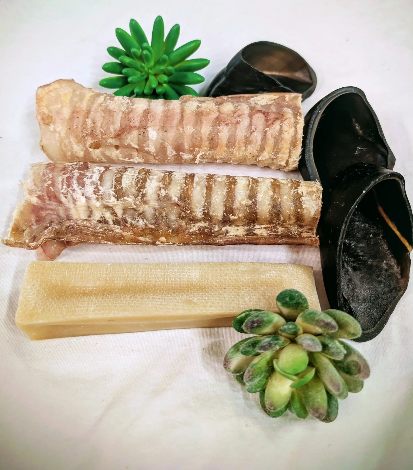 Assortiment découverte #5