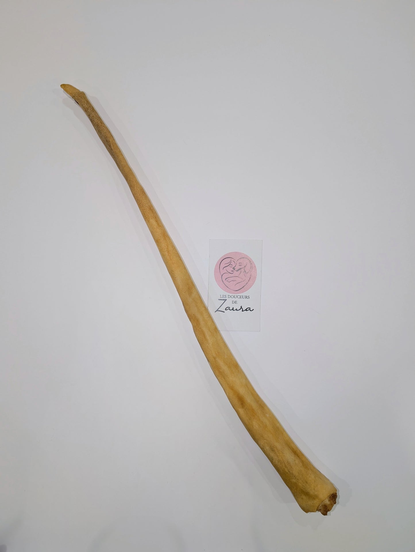 đQueue de boeuf xxl