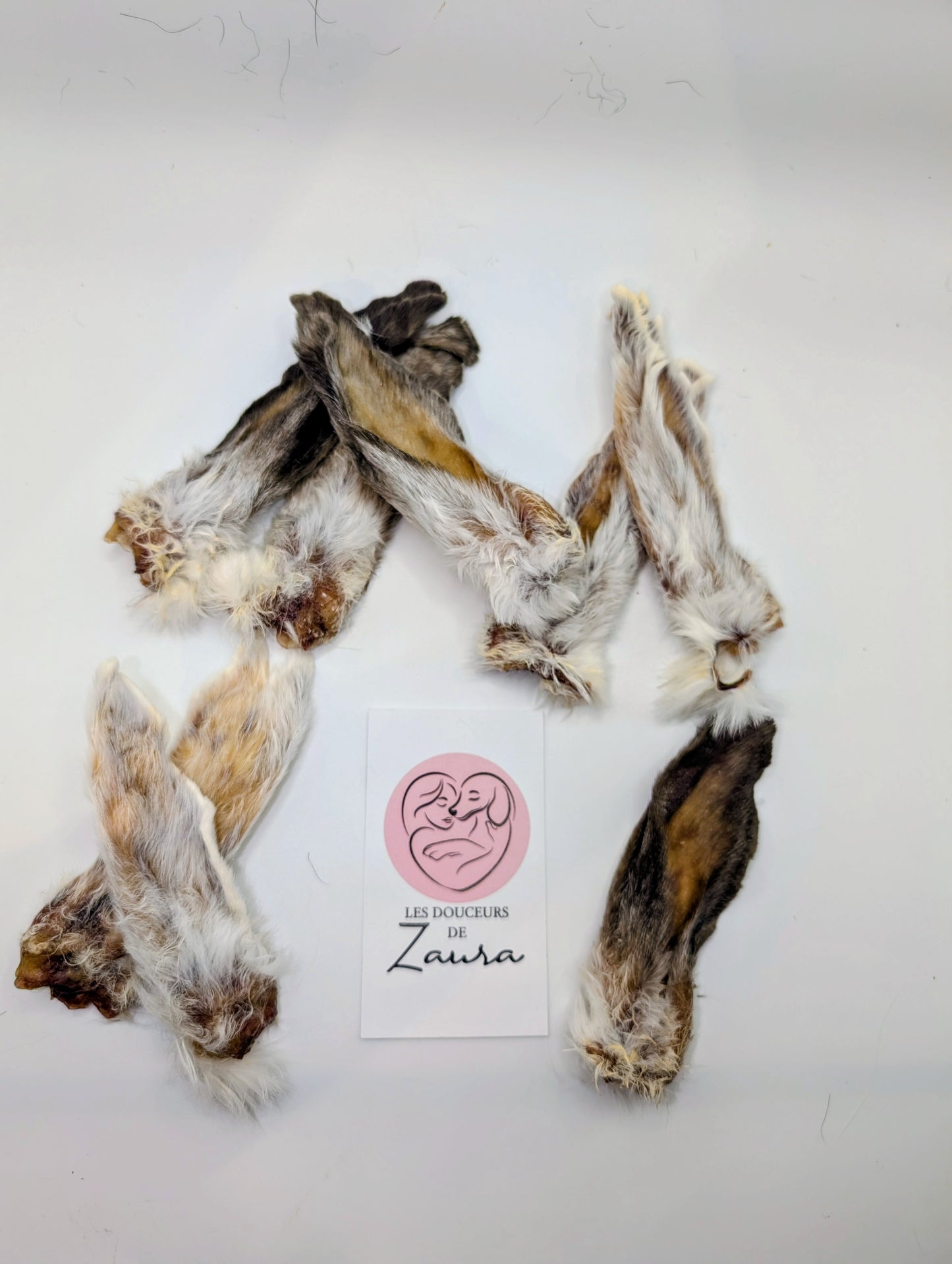 Grande Oreilles de lapin (8 Unités)