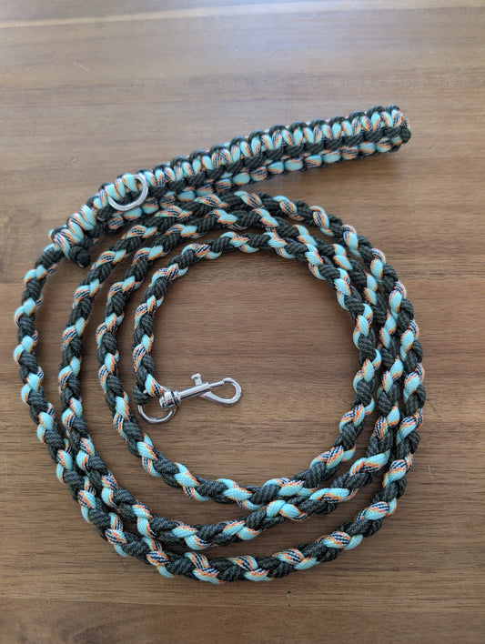 Laisse paracorde 68" (petit chien)