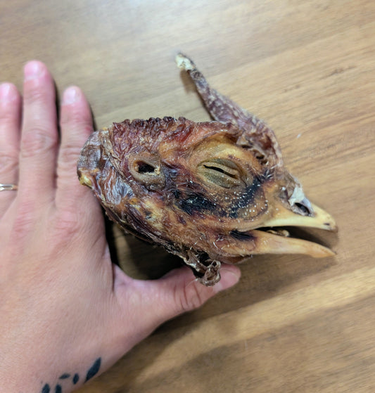 Tête de dindon déshydraté