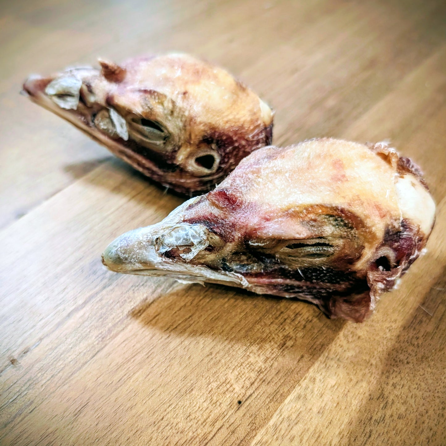 Têtes de dinde naturelles