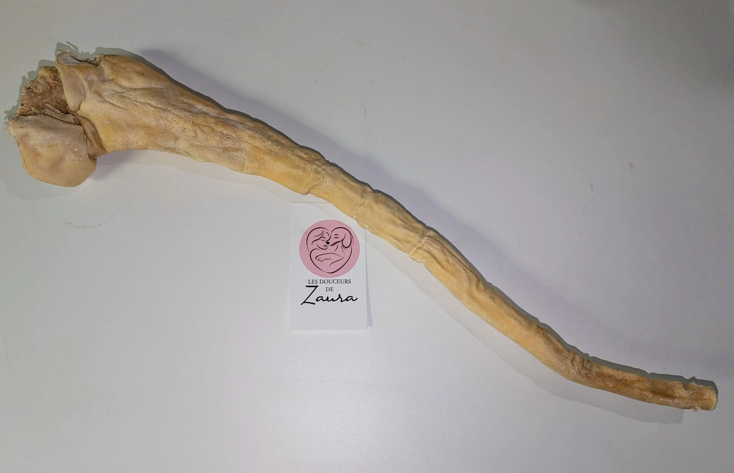 đQueue de Buffle d'eau Les Douceurs de Zaura