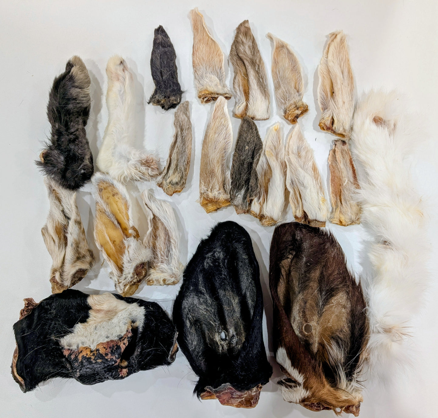 Boîte Retour à la Fourrure