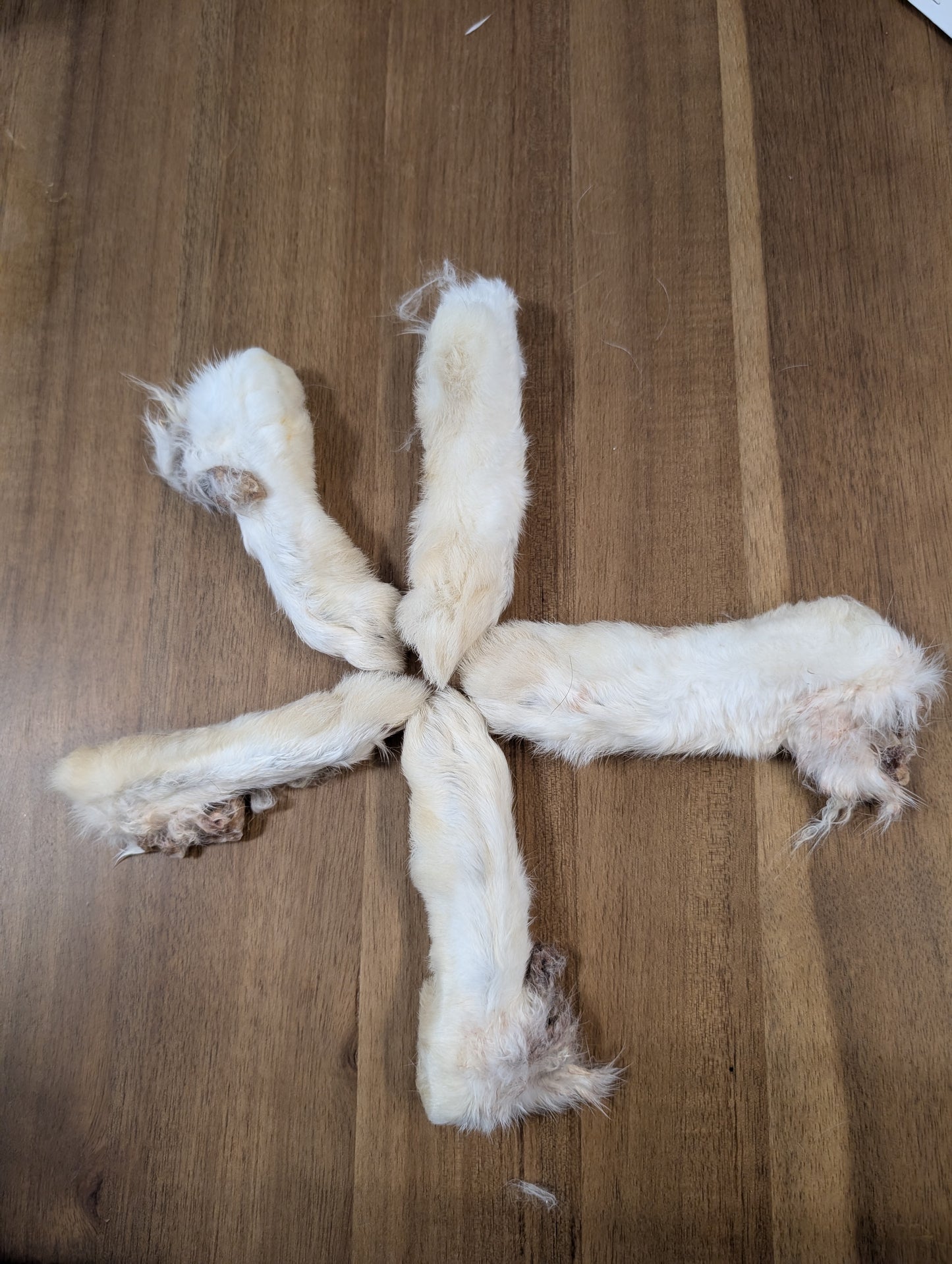 Pattes de lapin déshydratées (Paquet de 5)