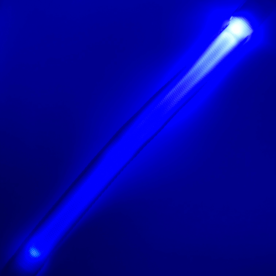 Laisse lumineuse