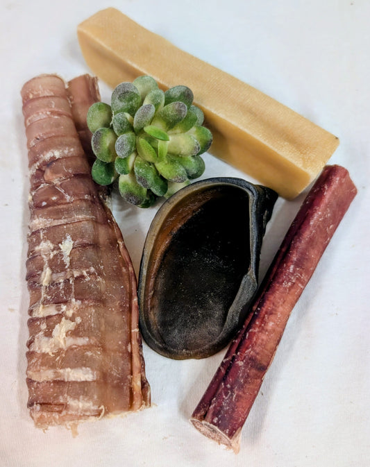 Assortiment découverte #7