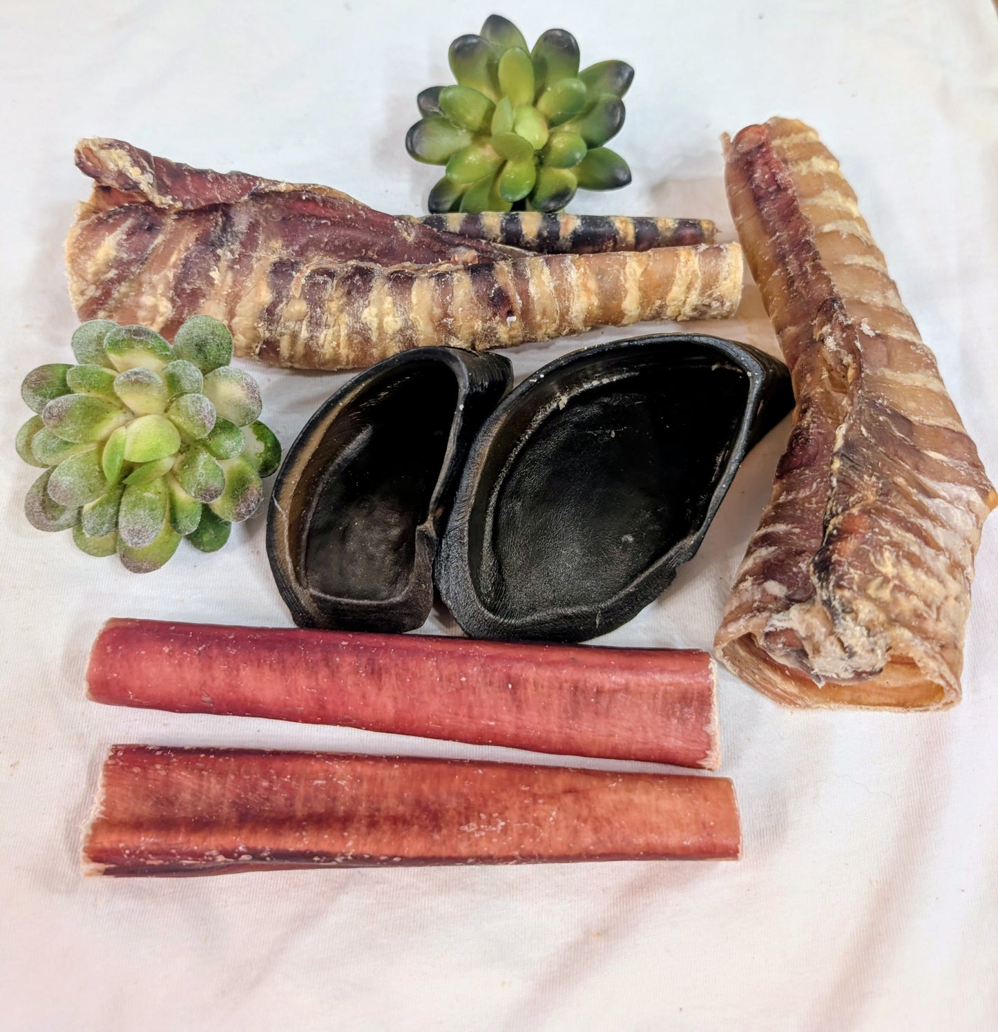Assortiment découverte #10