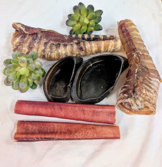 Assortiment découverte #10