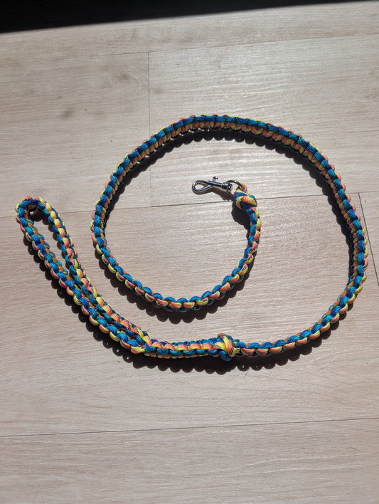 Laisse paracorde 40" ( petit chien)