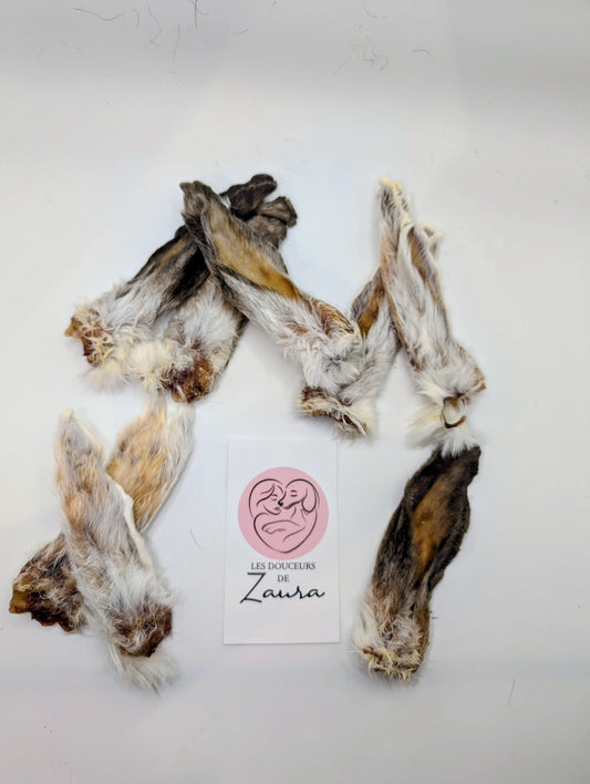 Grande Oreilles de lapin (8 Unités)