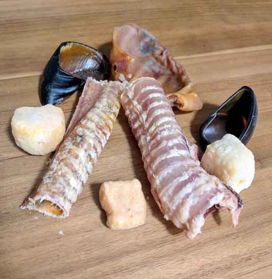 Assortiment découverte #24