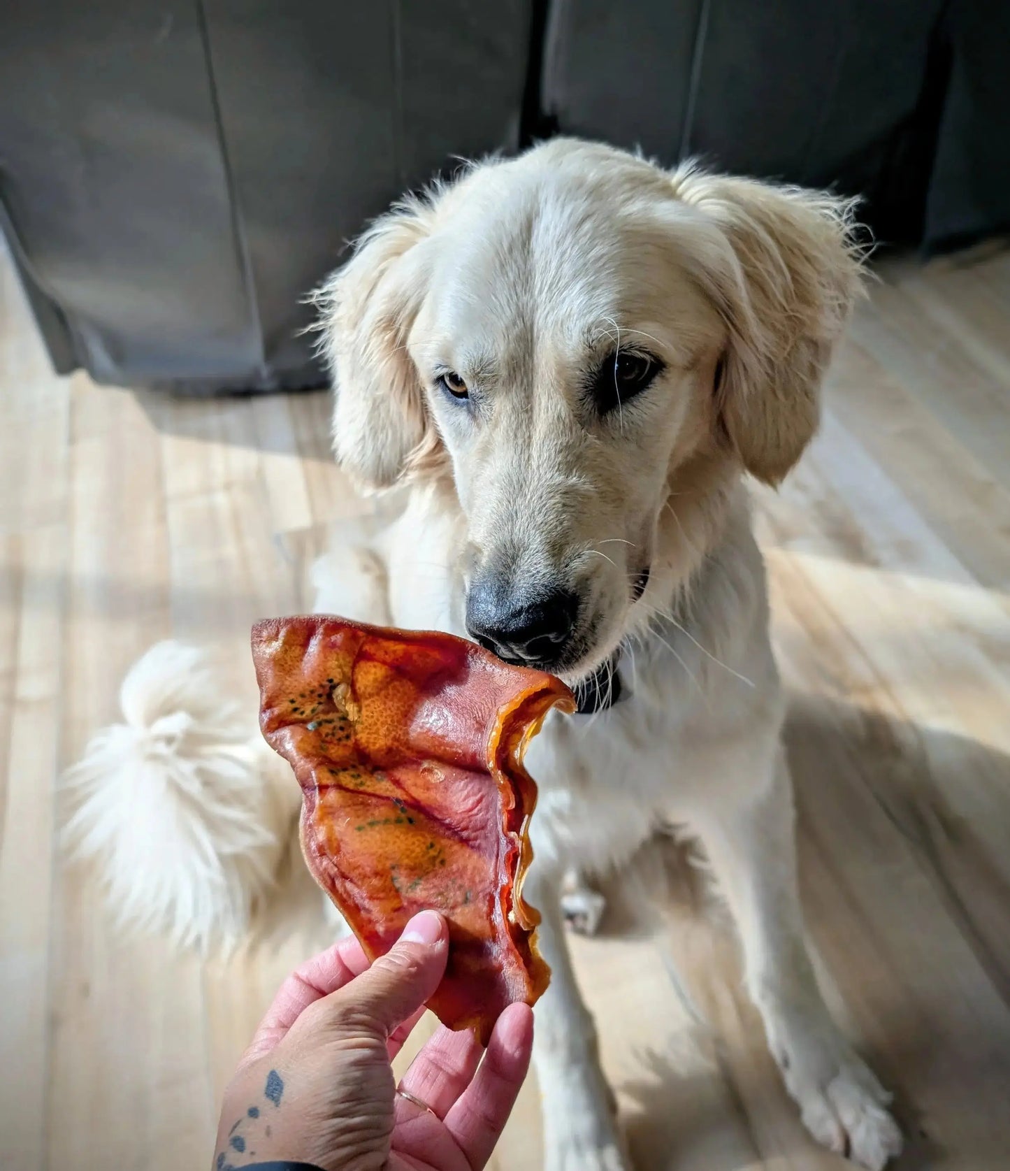 Oreilles de porc (Paquet de 5)