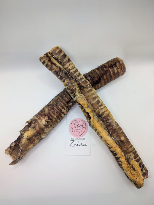 Trachée de boeuf 12 pouces