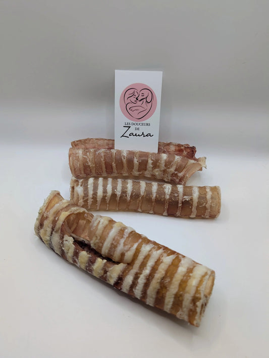 🍁Trachée de Bœuf 6 Pouces Les Douceurs de Zaura