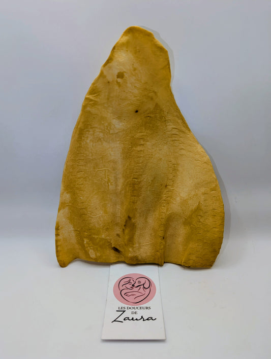 Oreille de boeuf fumé