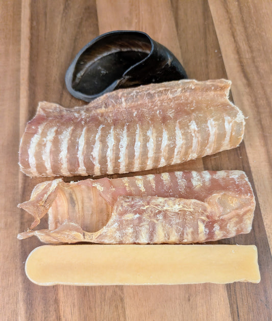 Assortiment découverte #19