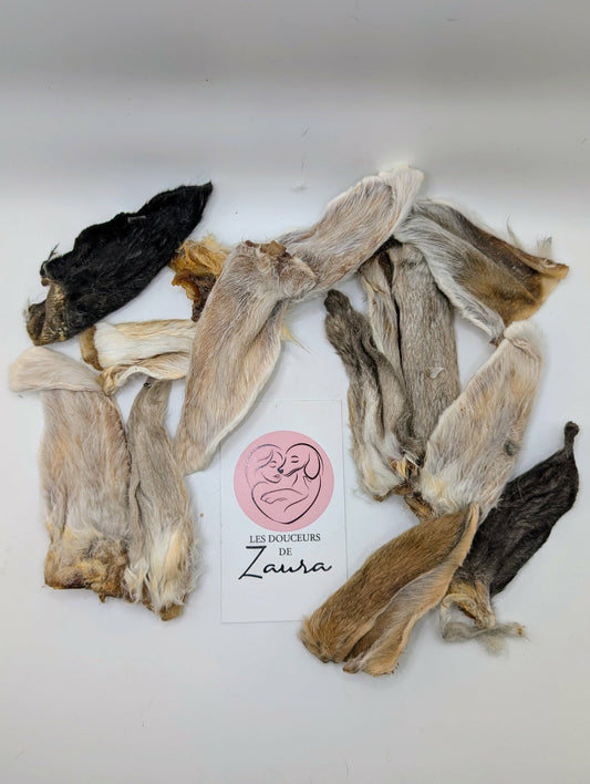 Oreilles de lapin (12 Unités)