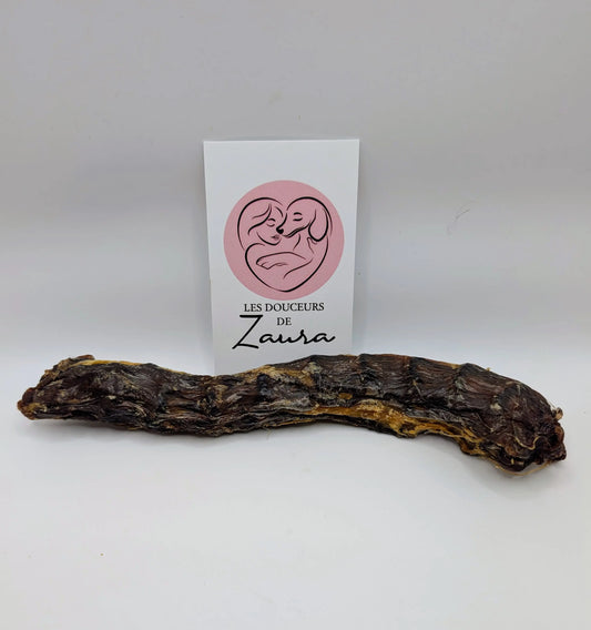 🍁Cou d'oie Les Douceurs de Zaura