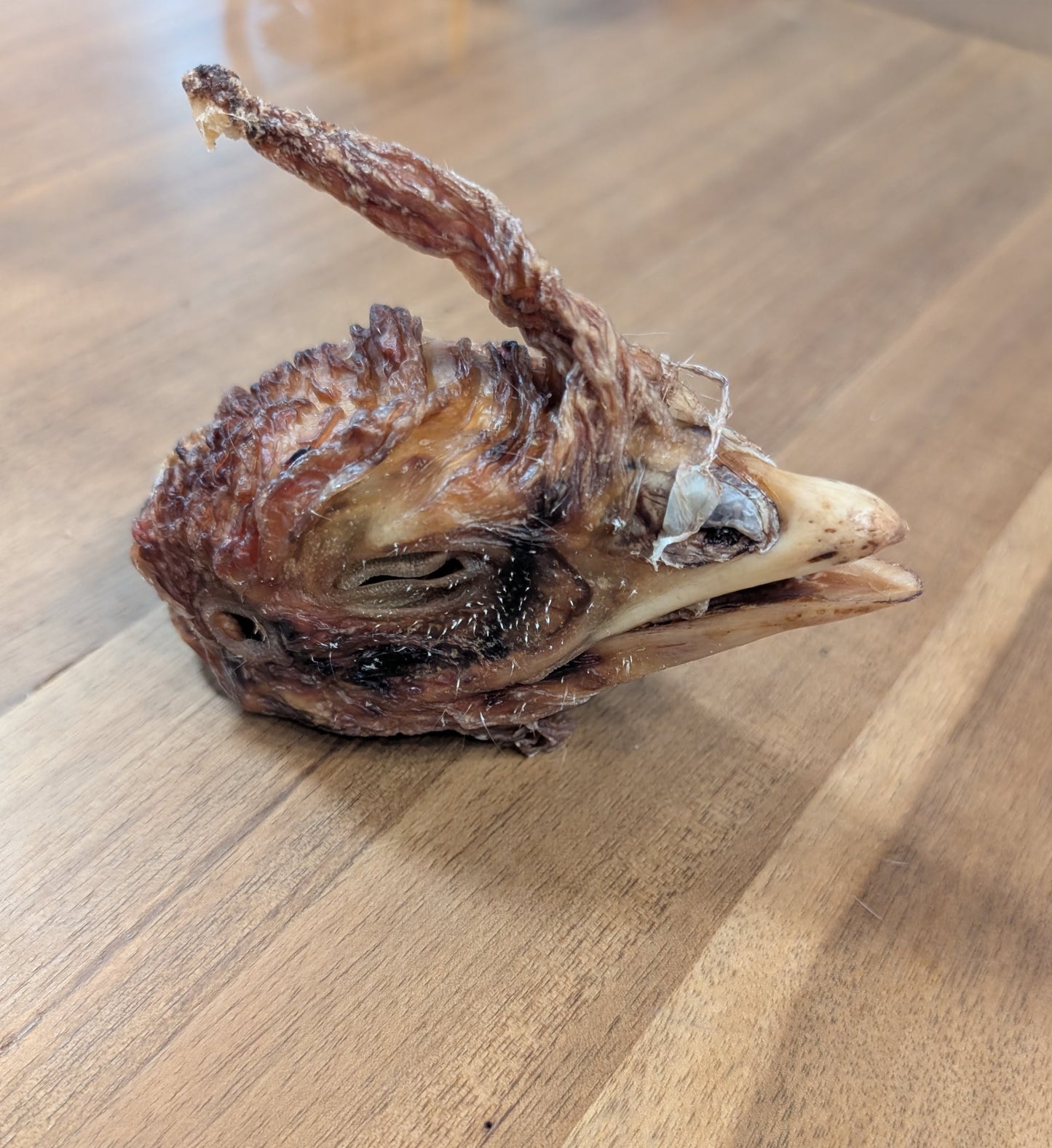 Tête de dindon déshydraté