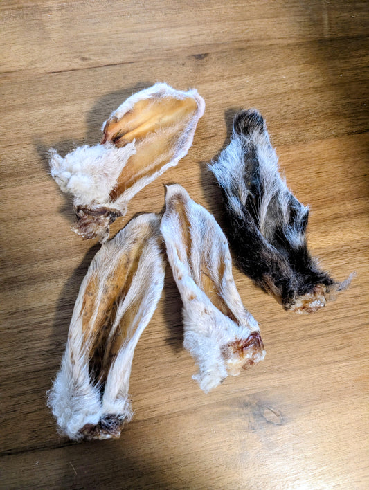 Oreilles d'agneau poilues (4 Unités)