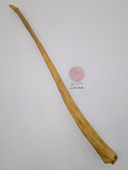 🍁Queue de boeuf xxl