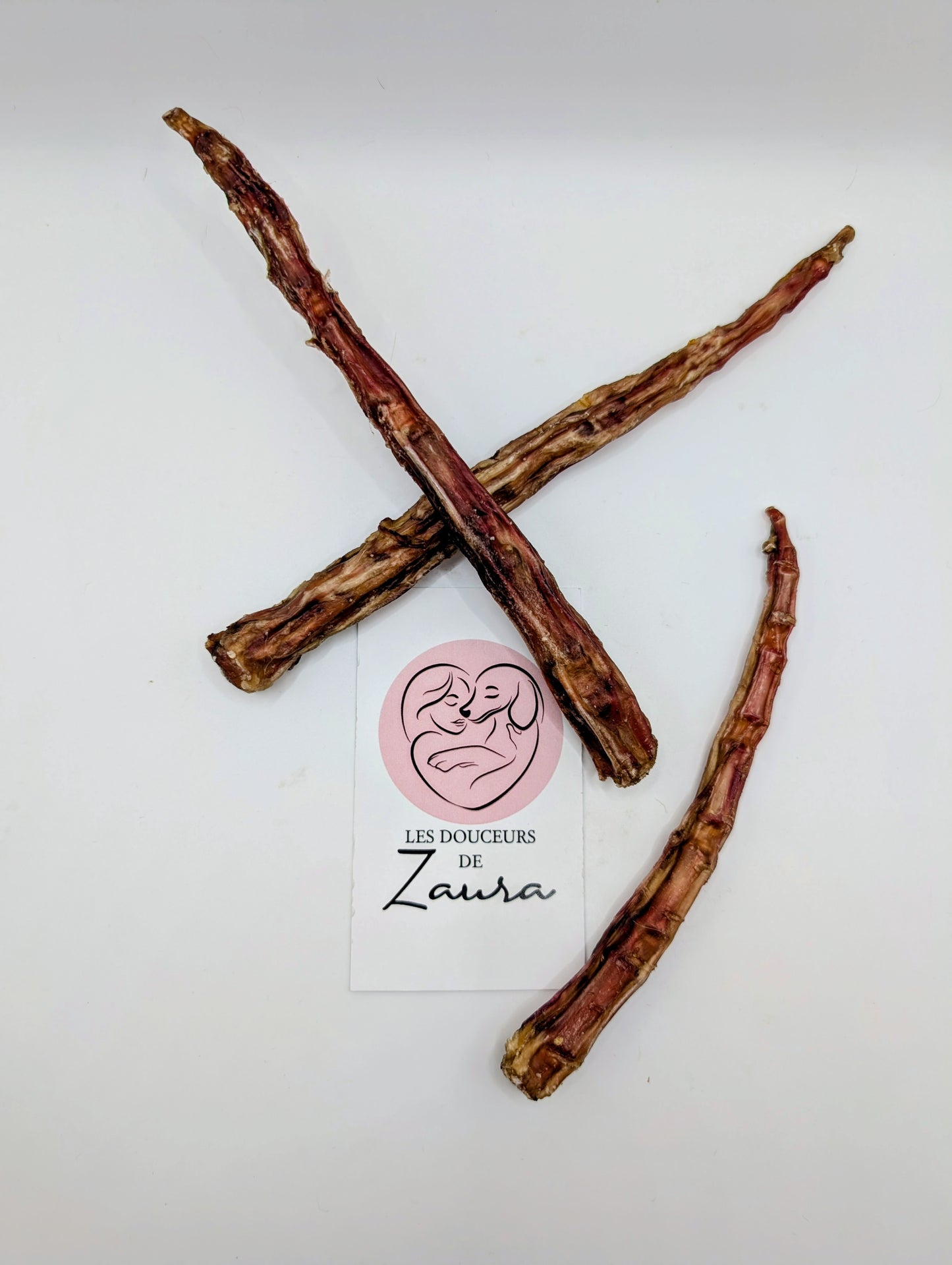 Bout de queue de boeuf