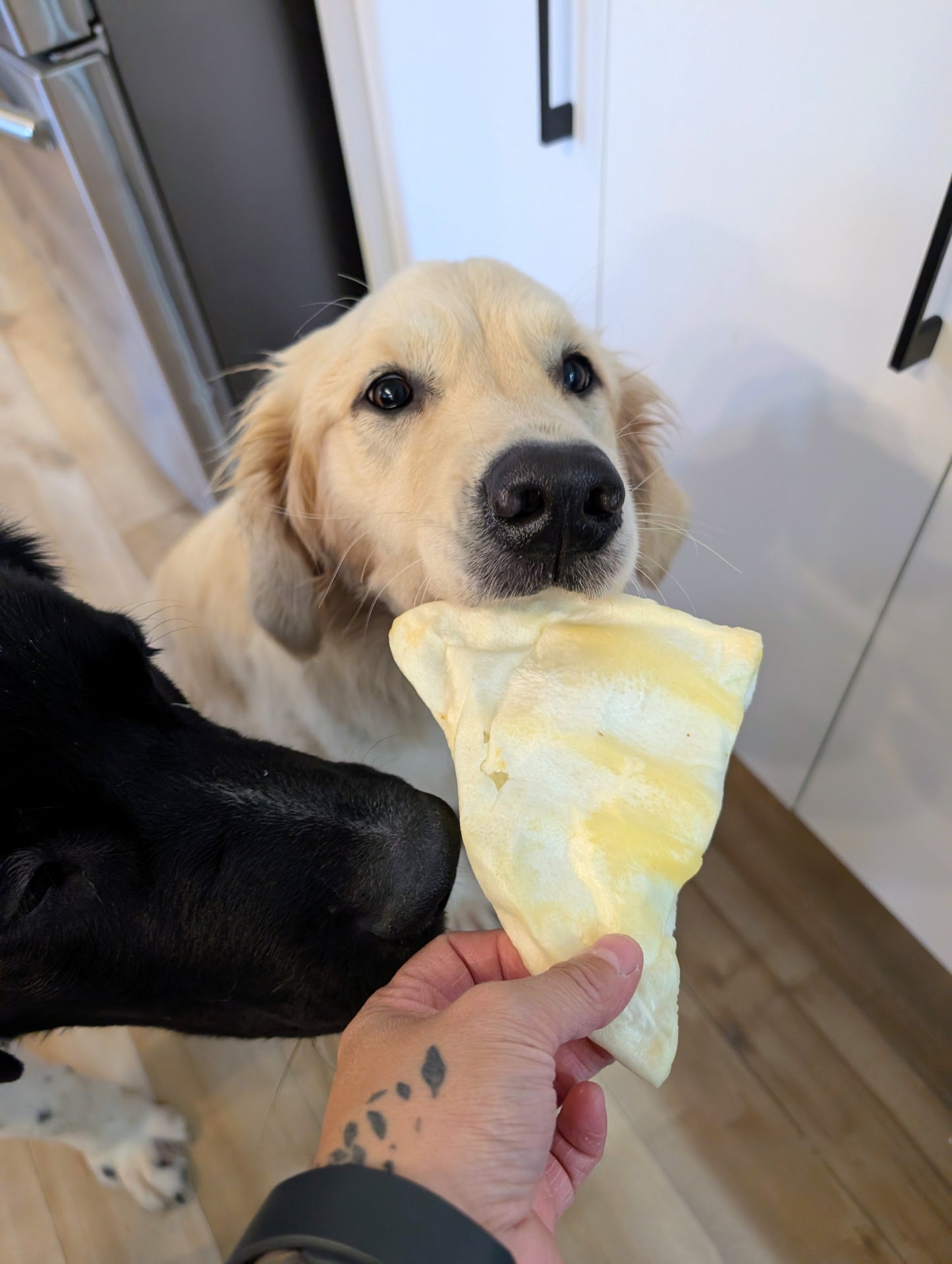 Oreille de porc soufflée