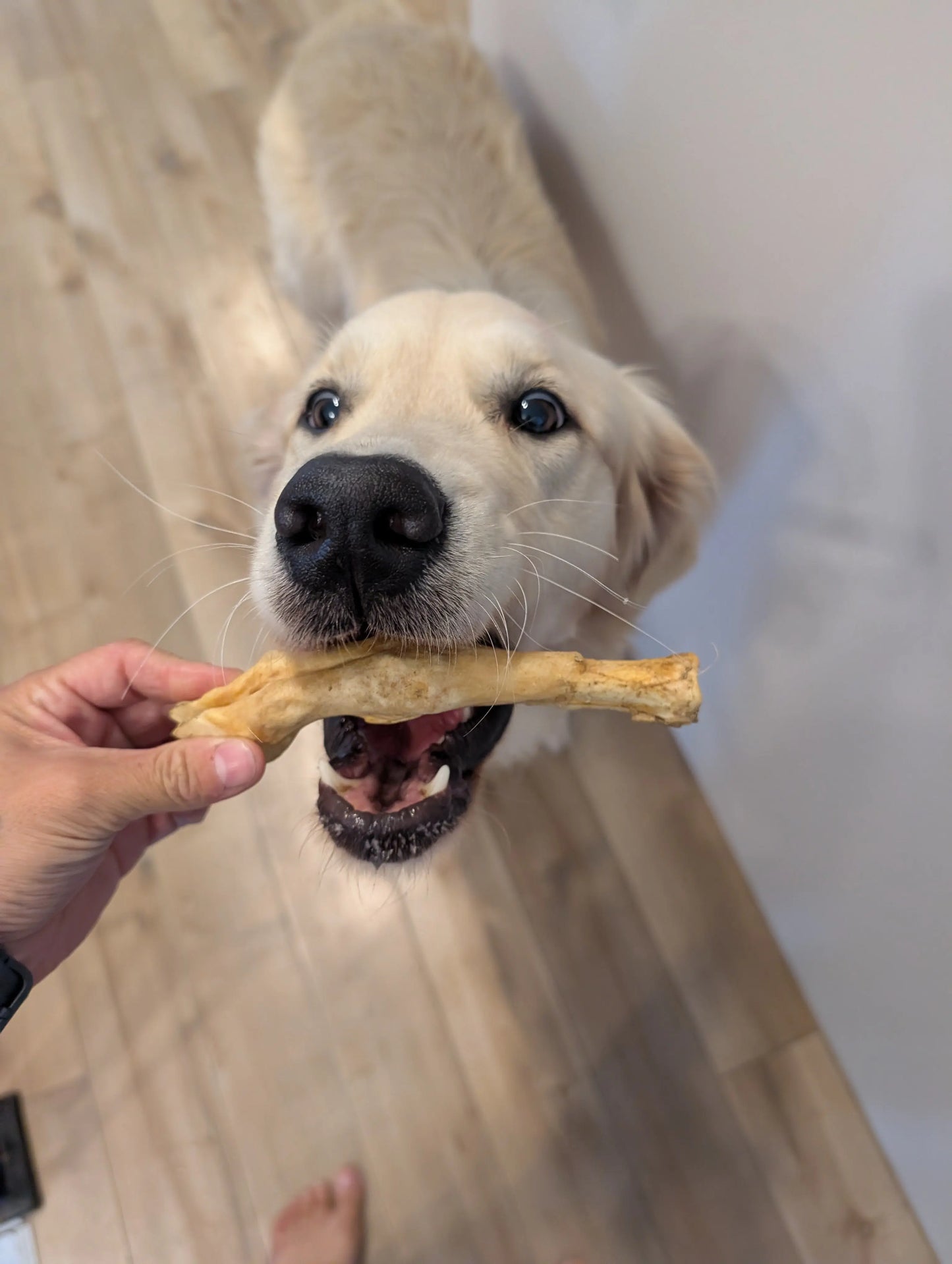 Pieds d'agneau (Paquet de 3)