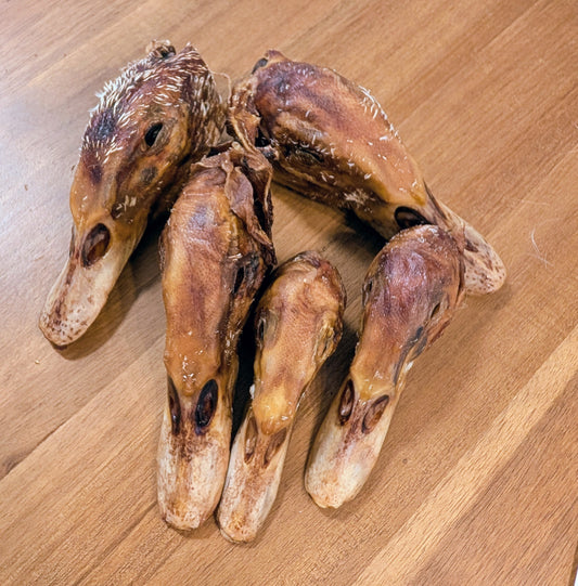 Têtes de canard déshydratées
