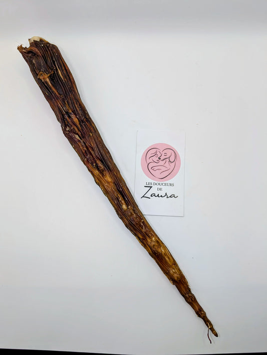 Bout de queue de kangourou