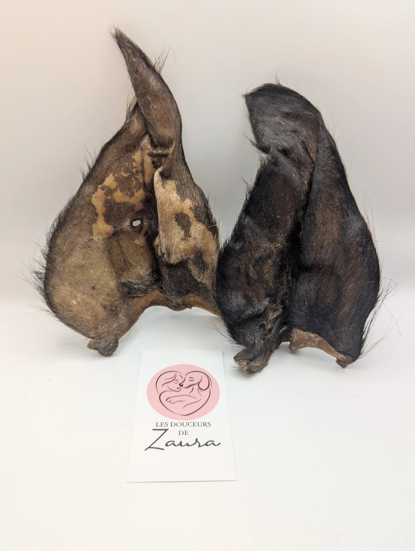 🍁Oreille de buffle Les Douceurs de Zaura